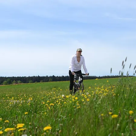 Krone Igelsberg 4* Freudenstadt