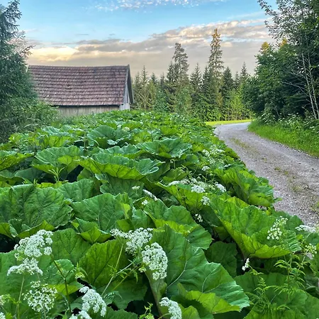 Krone Igelsberg Hotel Freudenstadt