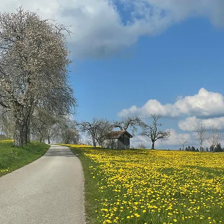 Krone Igelsberg 4*